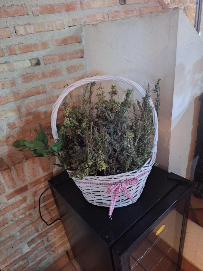 Hostal El Patio Restaurante San Bartolome de Pinares ภายนอก รูปภาพ